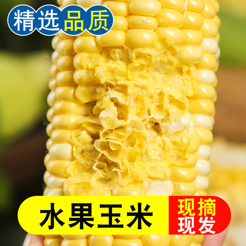 手里拿着咬过的甜玉米