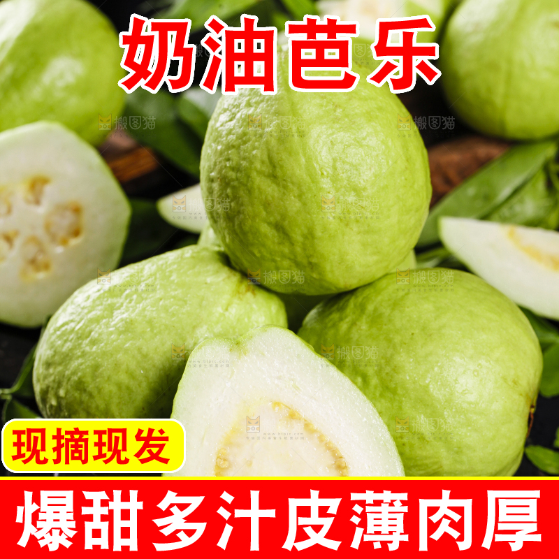 一堆新鲜的广西白心芭乐