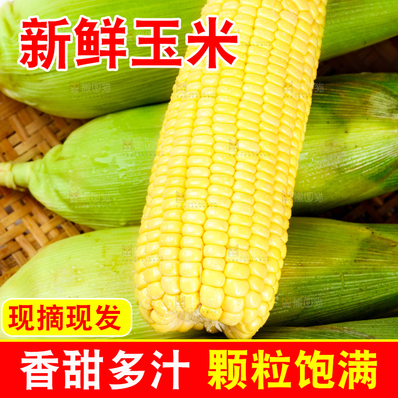 篮子里装着玉米