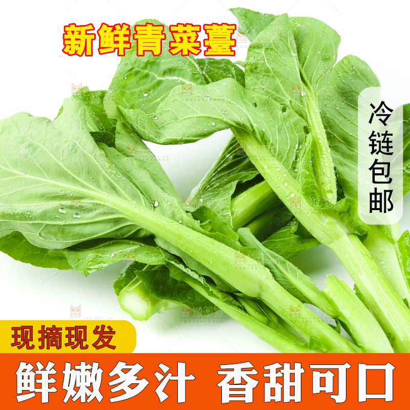 白底上放着青菜薹