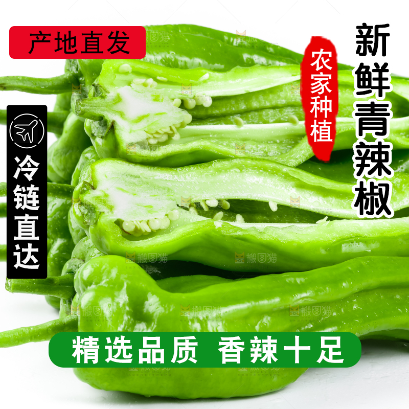 白底上放着青椒