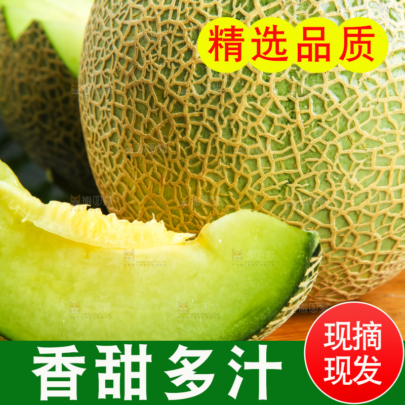 深底上放着山东新鲜玫珑蜜瓜