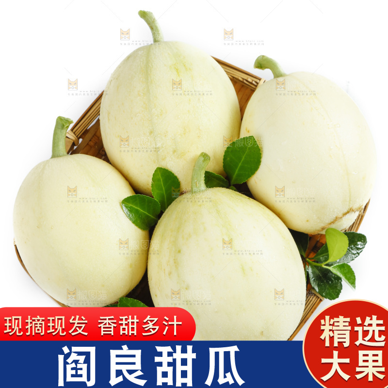 白底上放着一筐陕西阎良甜瓜