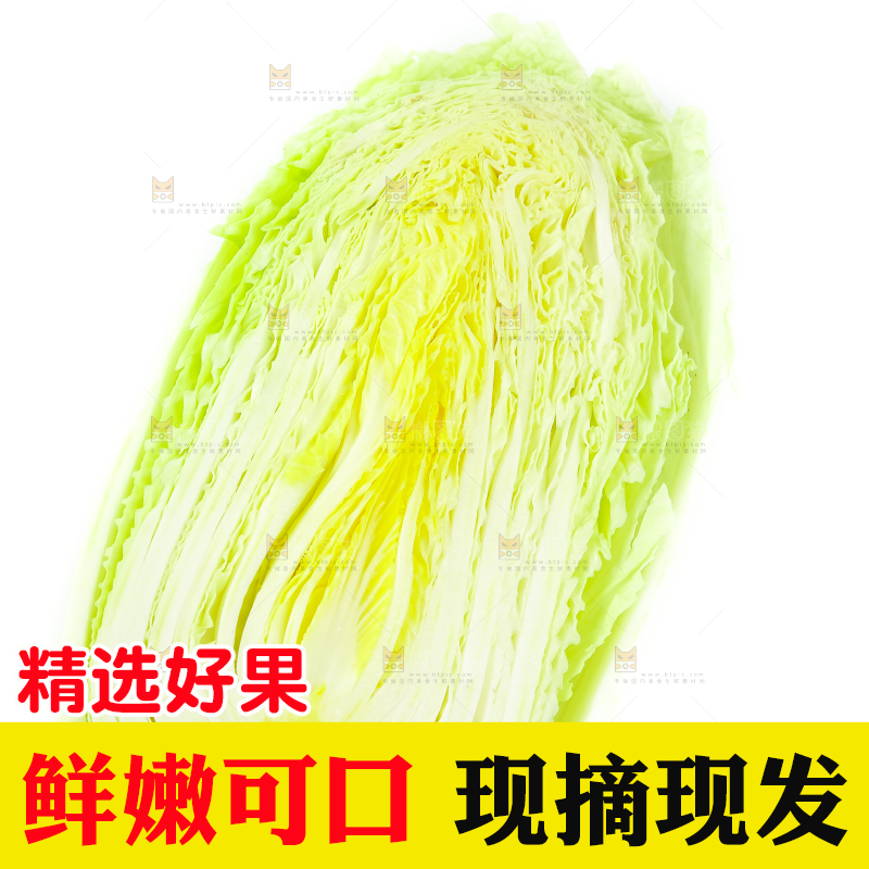 白底上放着大白菜
