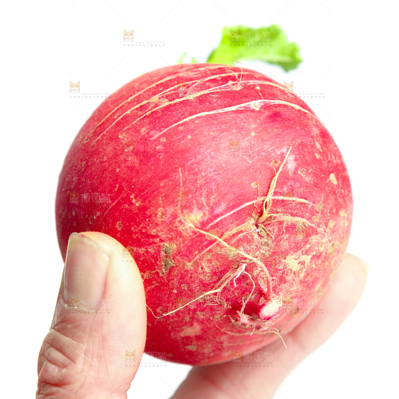 手里拿着红萝卜
