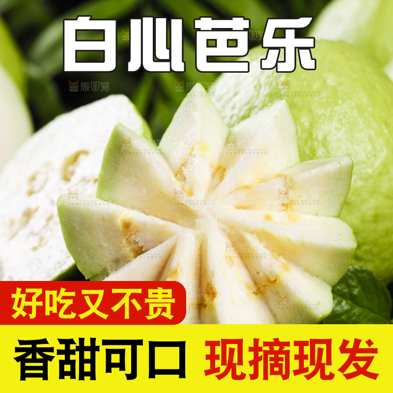 黑石底上放着白心芭乐