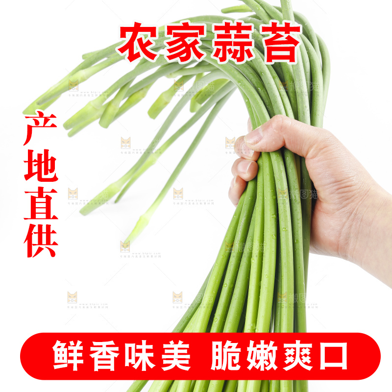 手里拿着鲜蒜苔