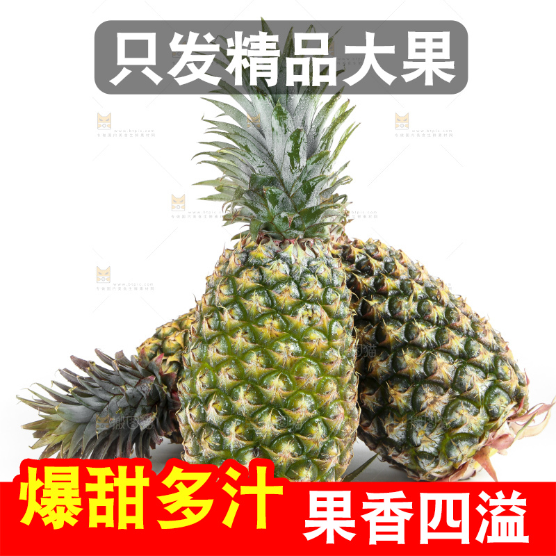 白底上的新鲜凤梨