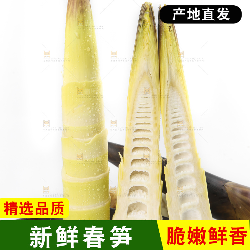 切开的临安春笋放在白底上