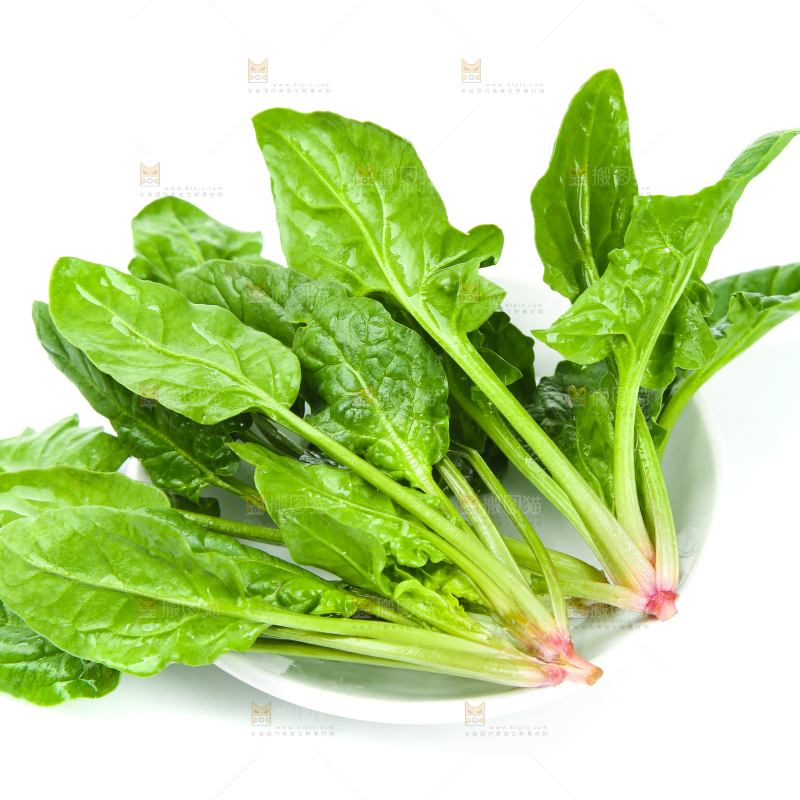 白底上放着新鲜菠菜