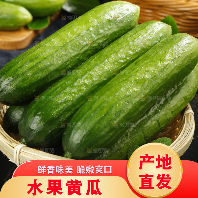 一筐新鲜的荷兰小青瓜放在黑底上