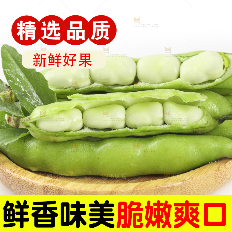 一筐新鲜四川蚕豆放在白底上