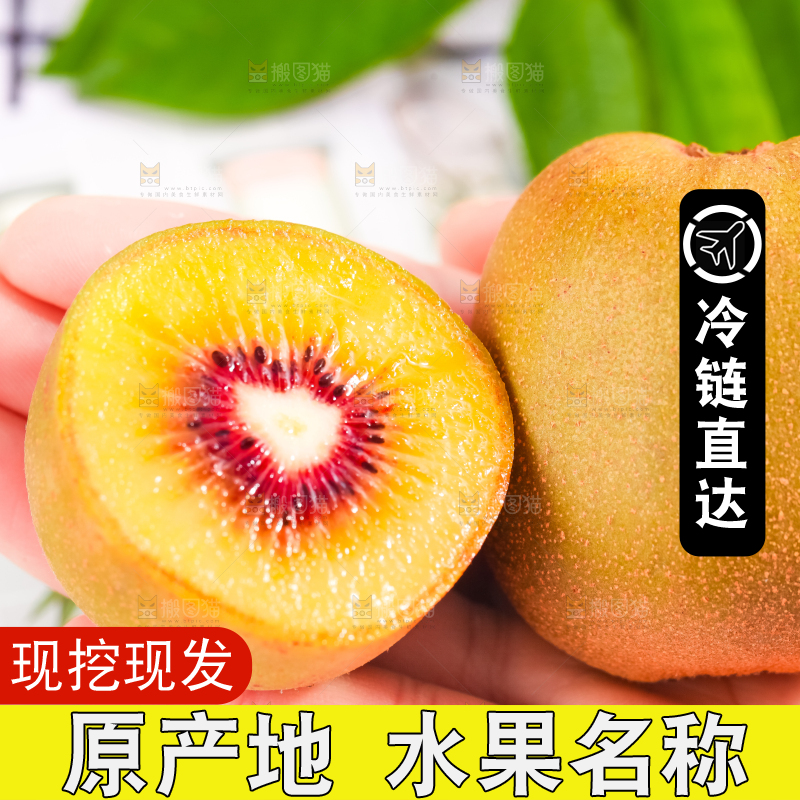 手里捧着切开四川红心猕猴桃