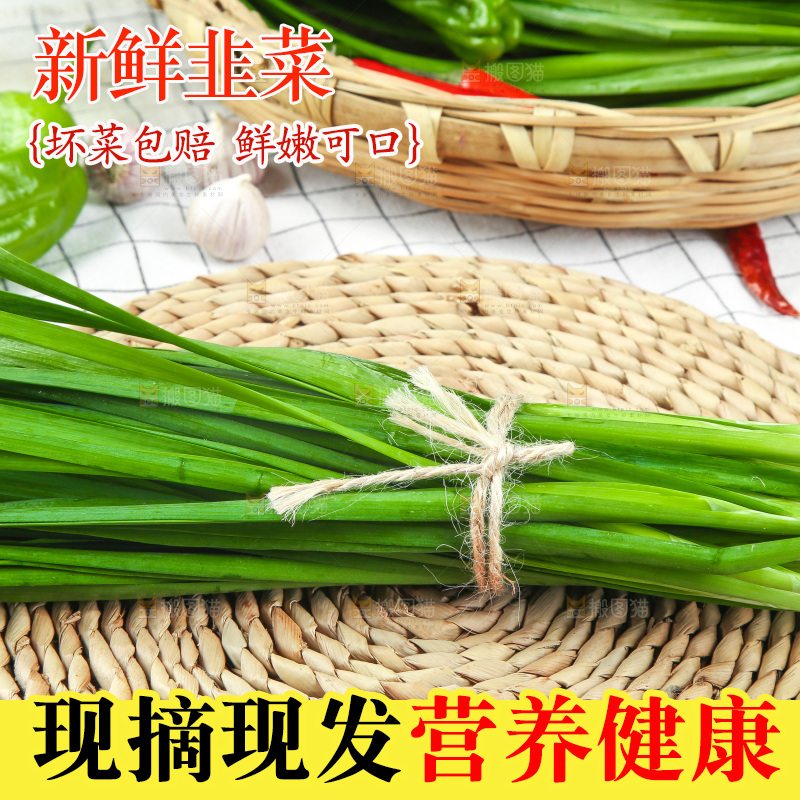 格子底上的鲜嫩韭菜