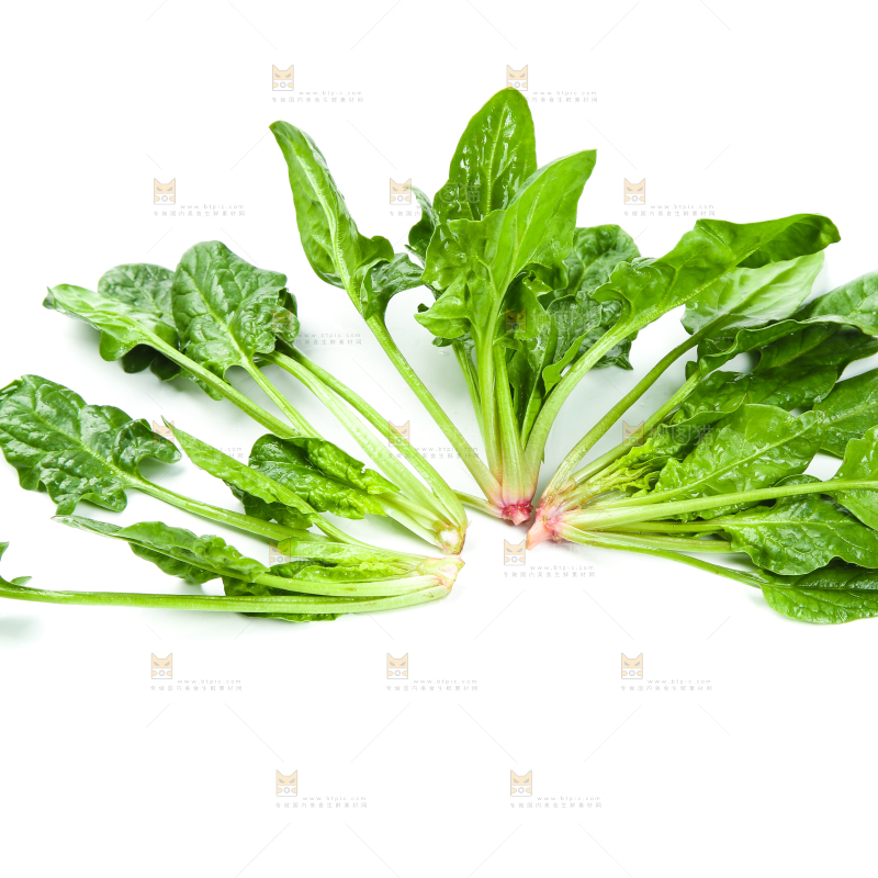 白底上放着新鲜菠菜