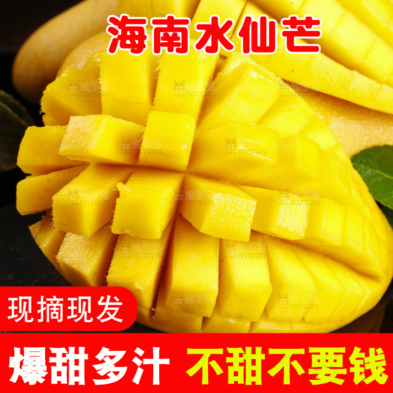 切开的海南金煌水仙芒放在深底上