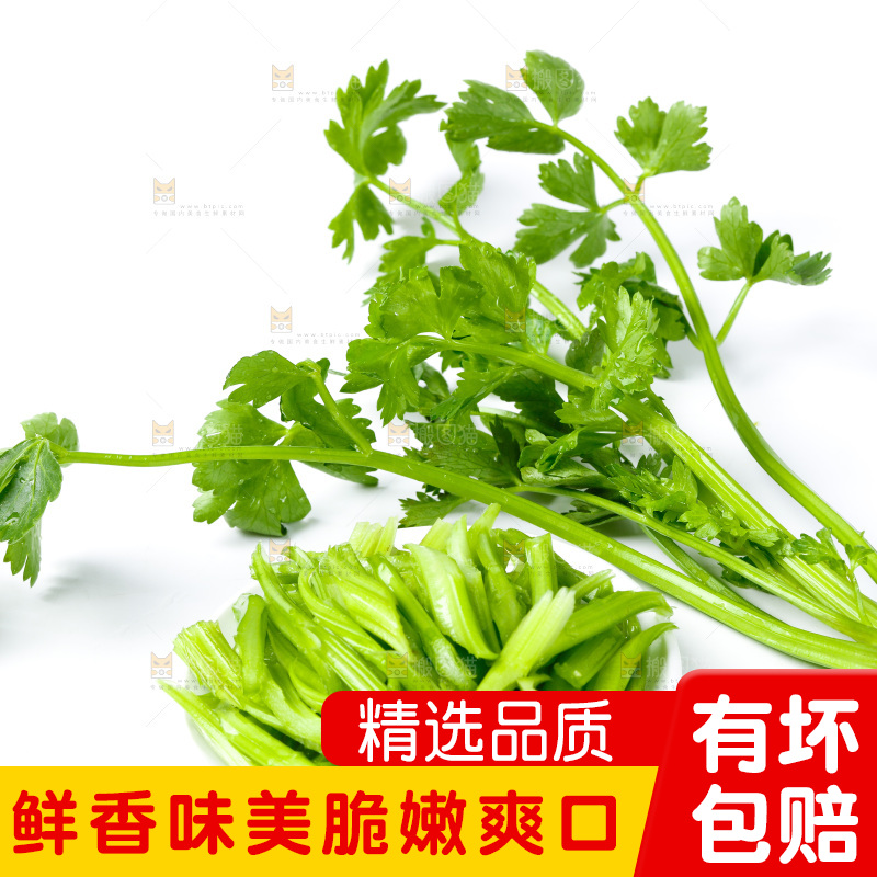 白底上的小芹菜