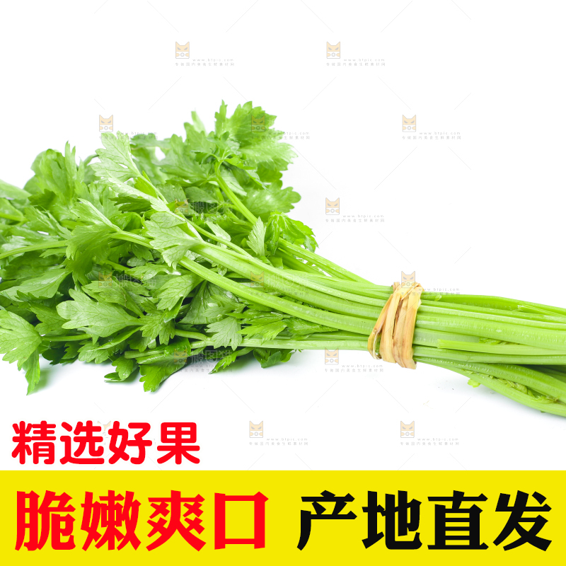 白底上放着一把芹菜