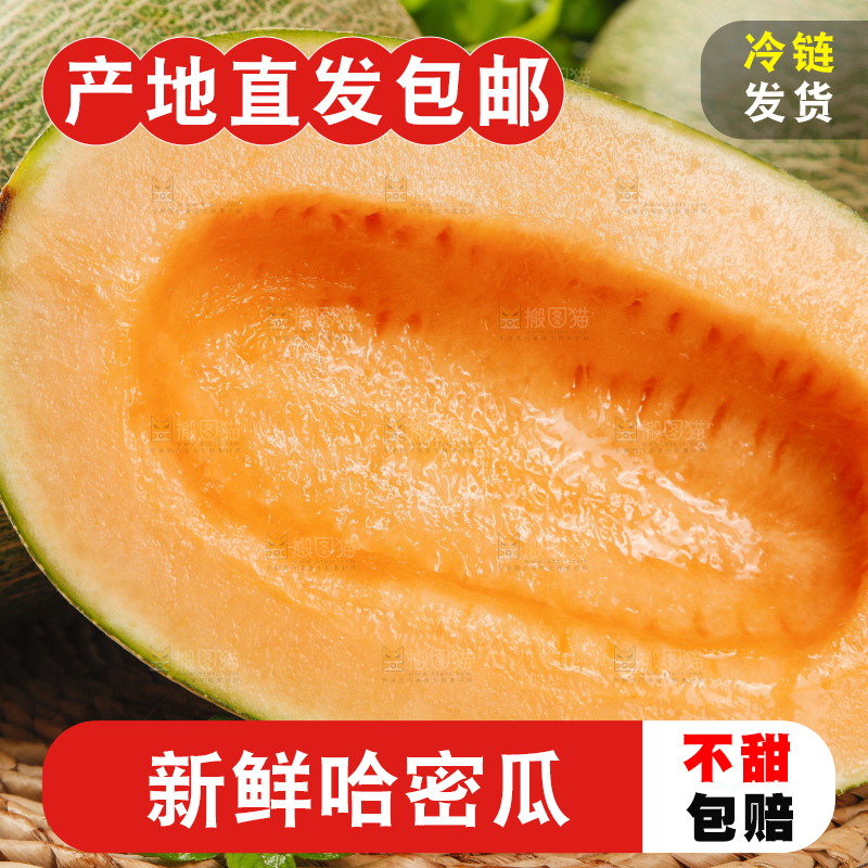 哈密瓜主图