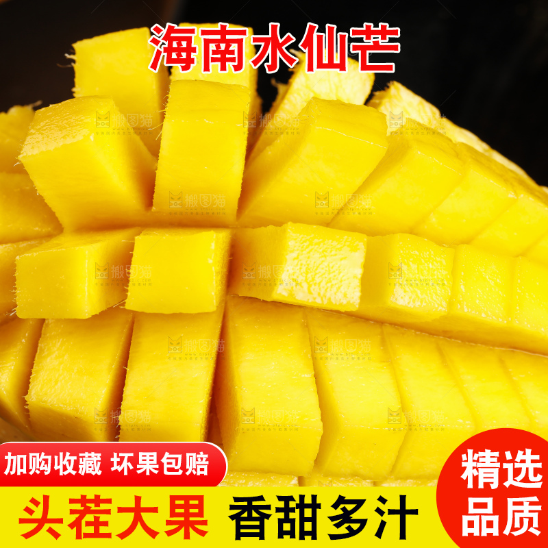 切开的海南金煌水仙芒放在深底上