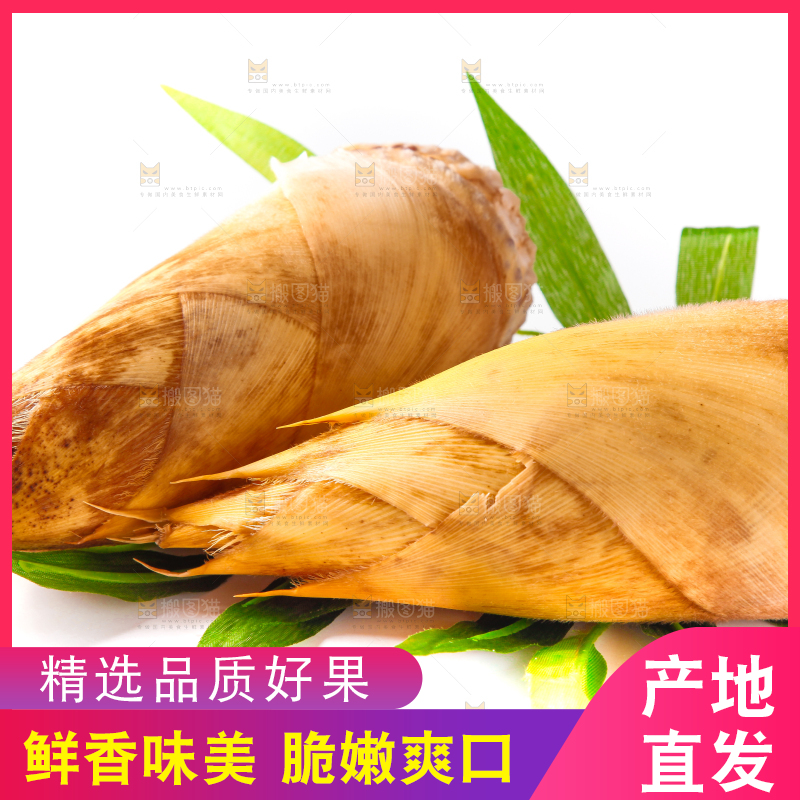 白底上摆放着冬笋