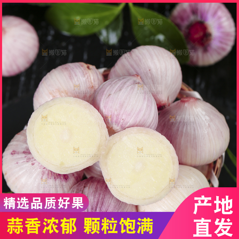 黑底上放着云南紫皮独头蒜
