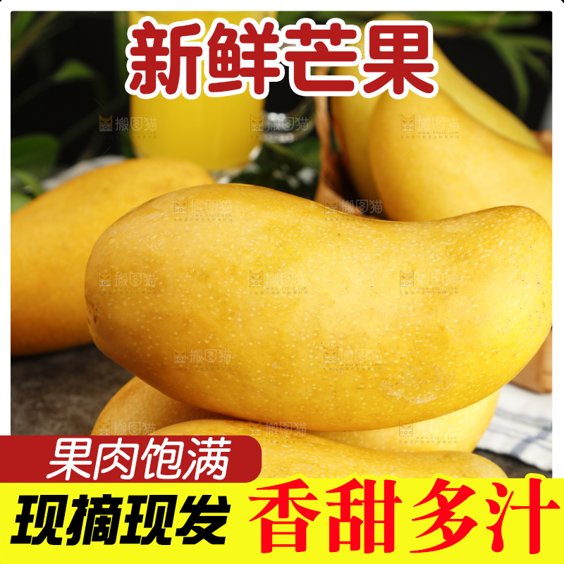 深底上的新鲜金煌芒