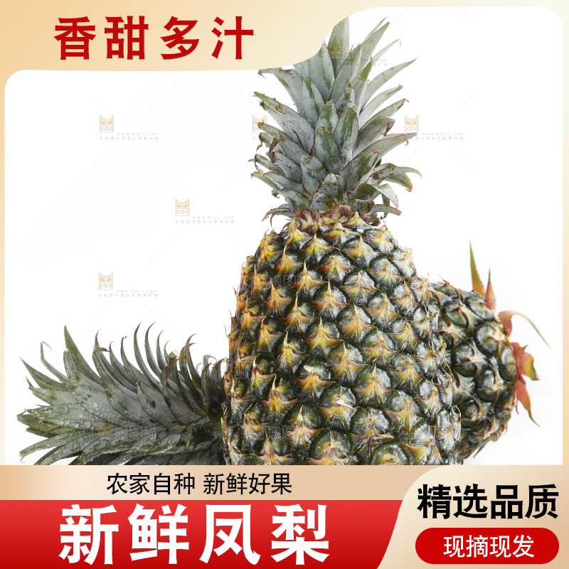 白底上的新鲜凤梨