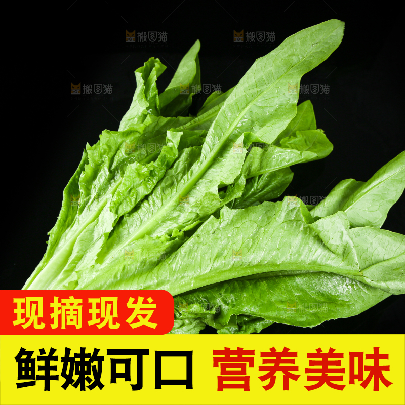 黑底上摆放着油麦菜