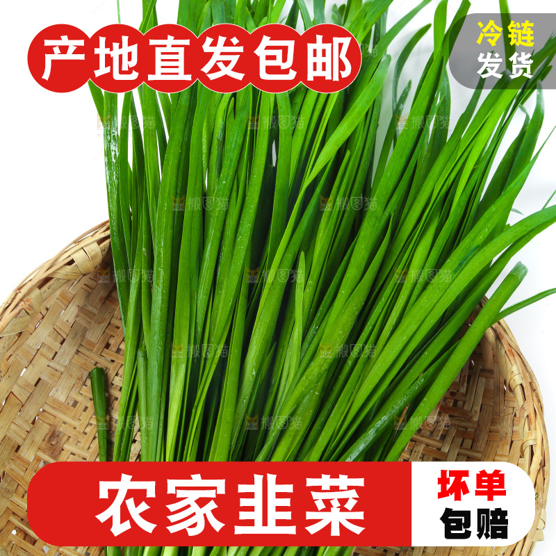篮子里堆放着韭菜