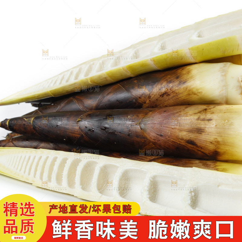 白底上放着一堆临安春笋