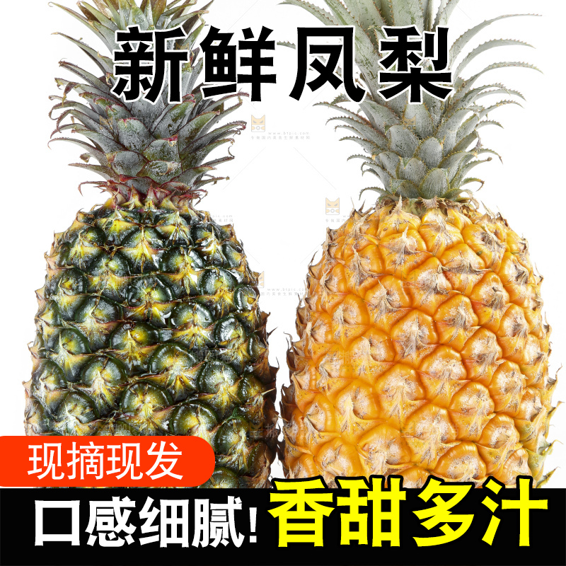 白底上的新鲜凤梨