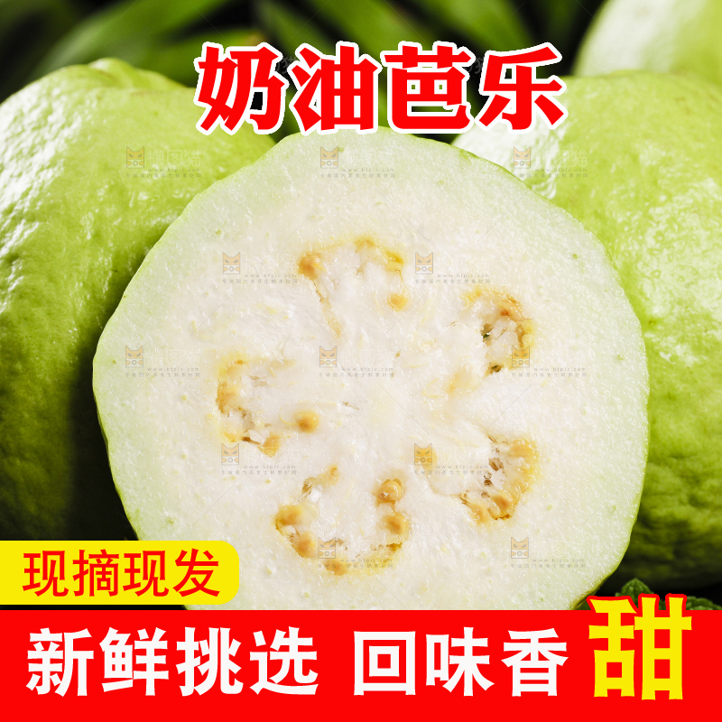 黑石底上放着白心芭乐