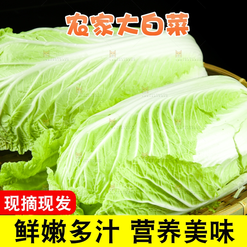 黑底上的黄心大白菜