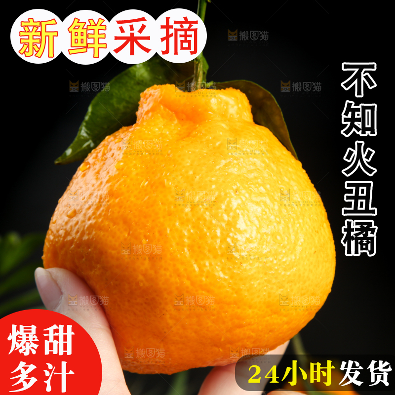 手拿新鲜丑八怪
