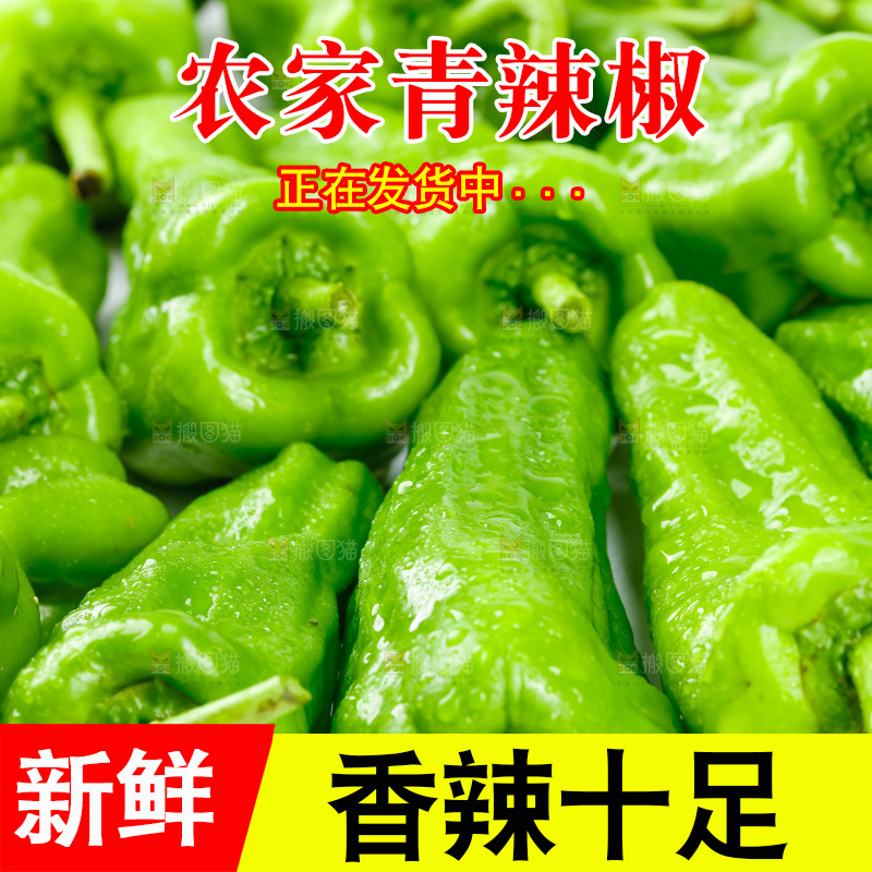 一堆新鲜的青辣椒