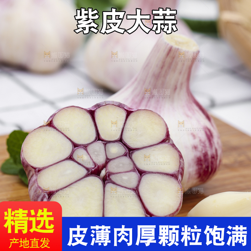 浅底上放着新鲜山东紫皮大蒜头
