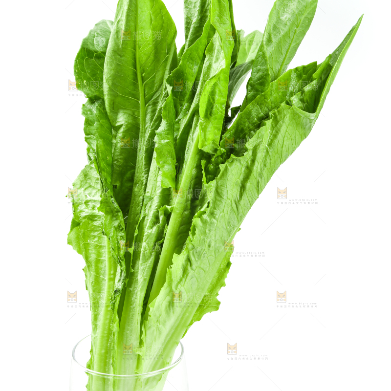 白底上的嫩油麦菜