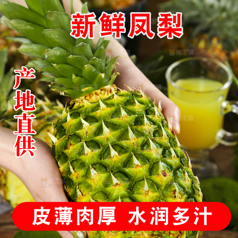 手捧着金钻凤梨
