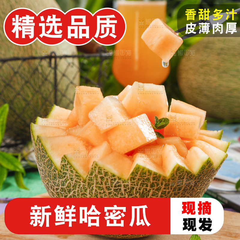 哈密瓜主图
