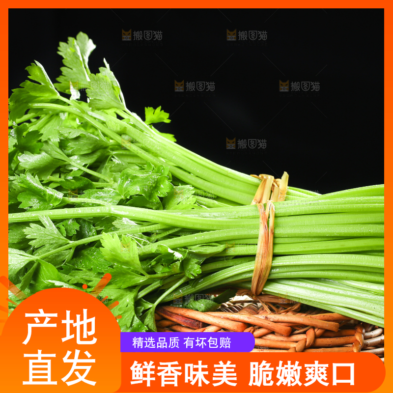 篮子里装着芹菜