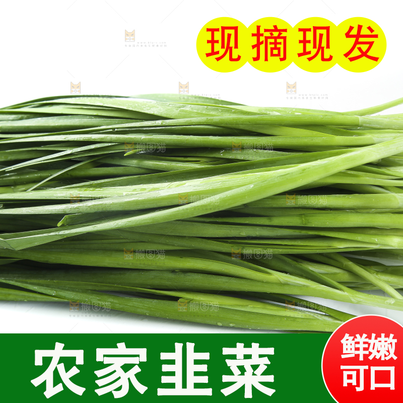 白底上放着新鲜韭菜