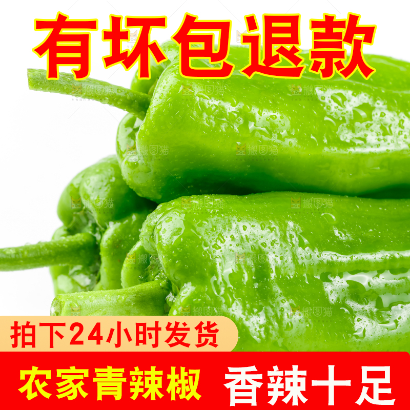 白底上放着青椒