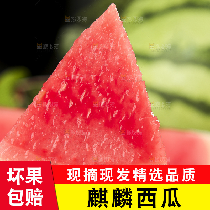 手拿切开的冰糖西瓜