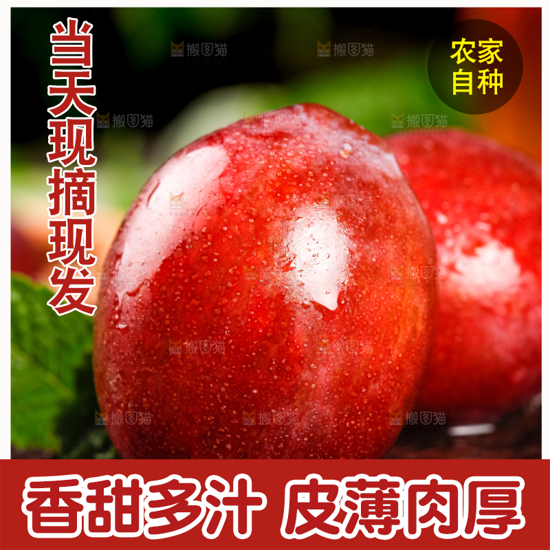 深底上的新疆甜西梅