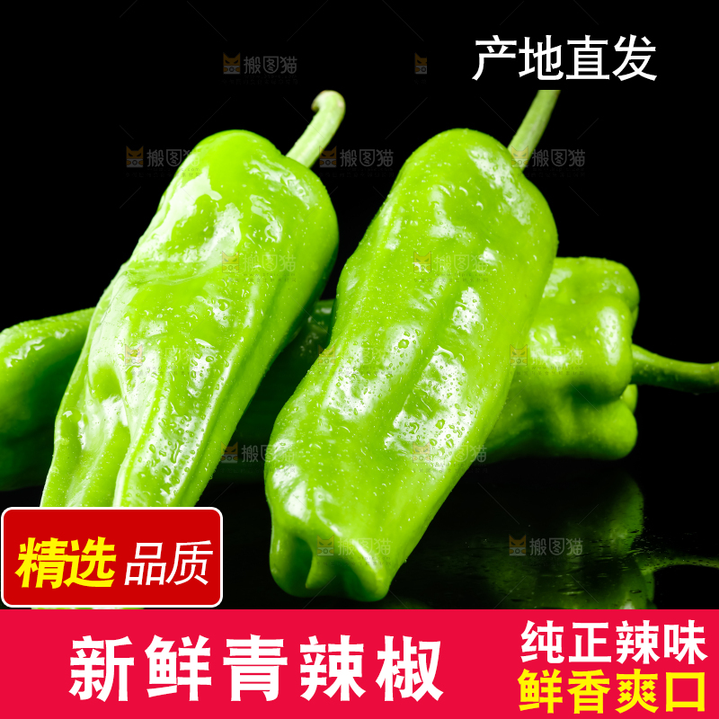 黑底上放着青辣椒