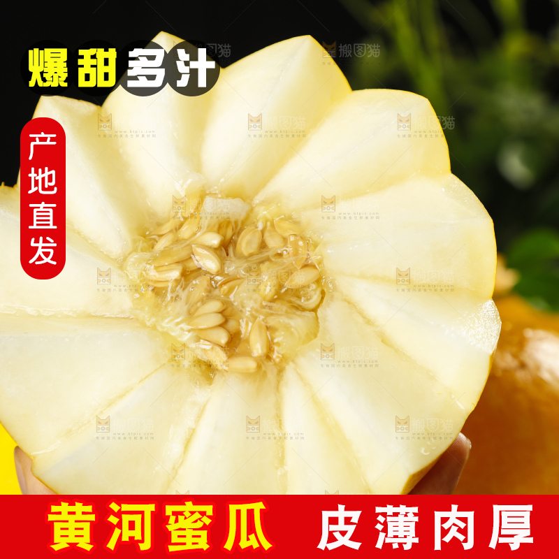 手拿切开的陕西黄河蜜瓜