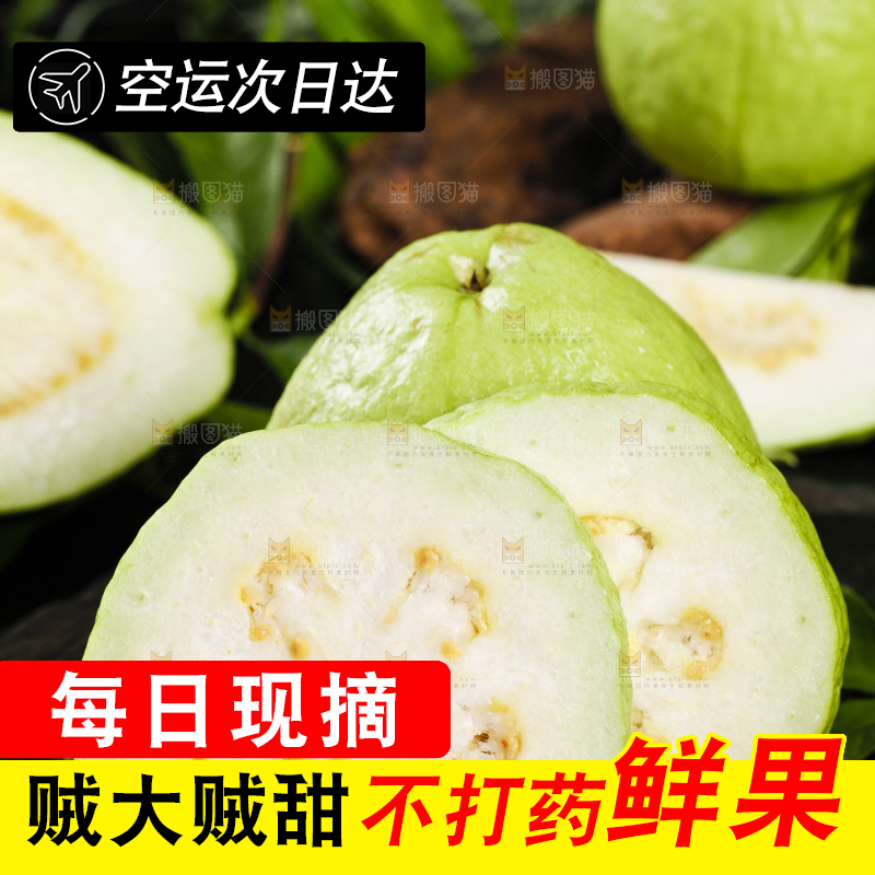 黑石底上放着白心芭乐