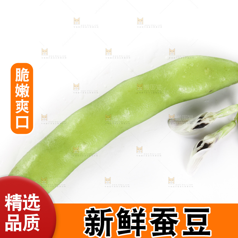 白底上放着新鲜蚕豆