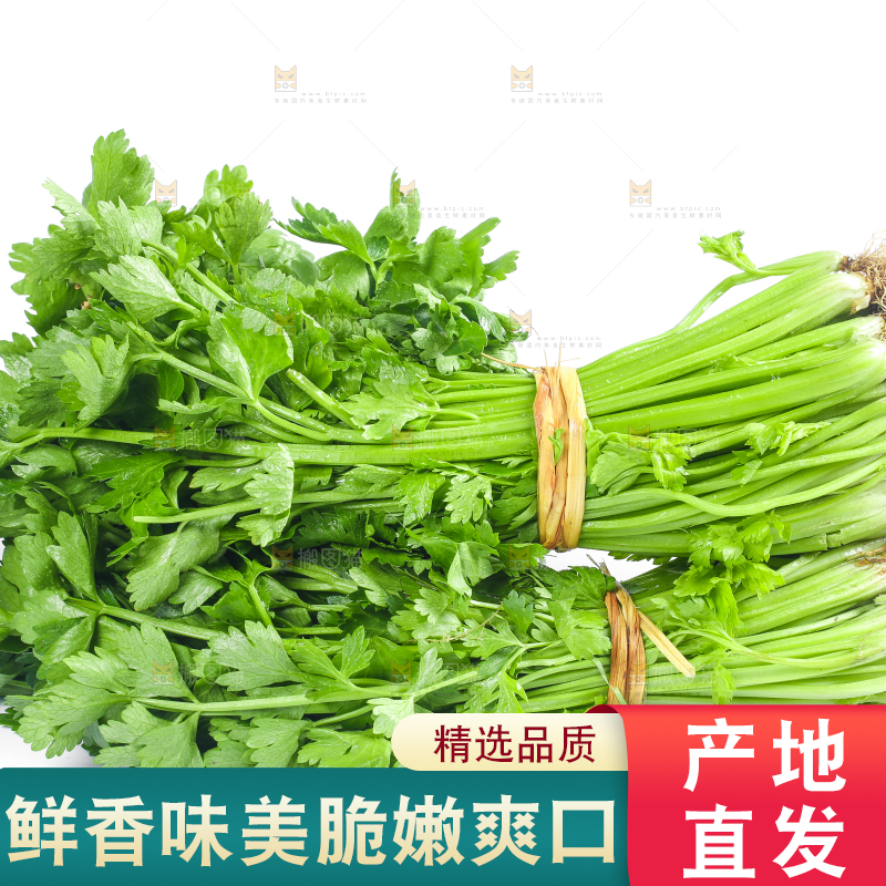 白底上堆放着香芹